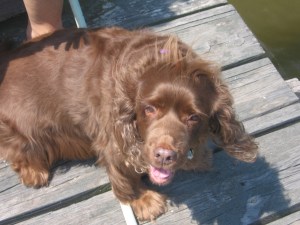 Lilly at the River House