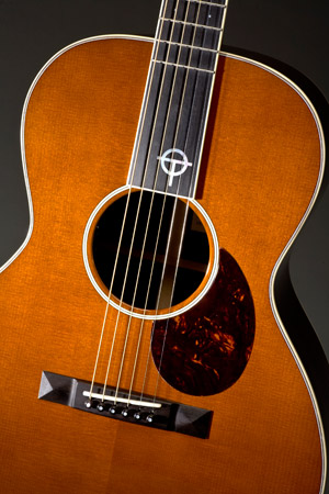 Otis Taylor Guitar detail