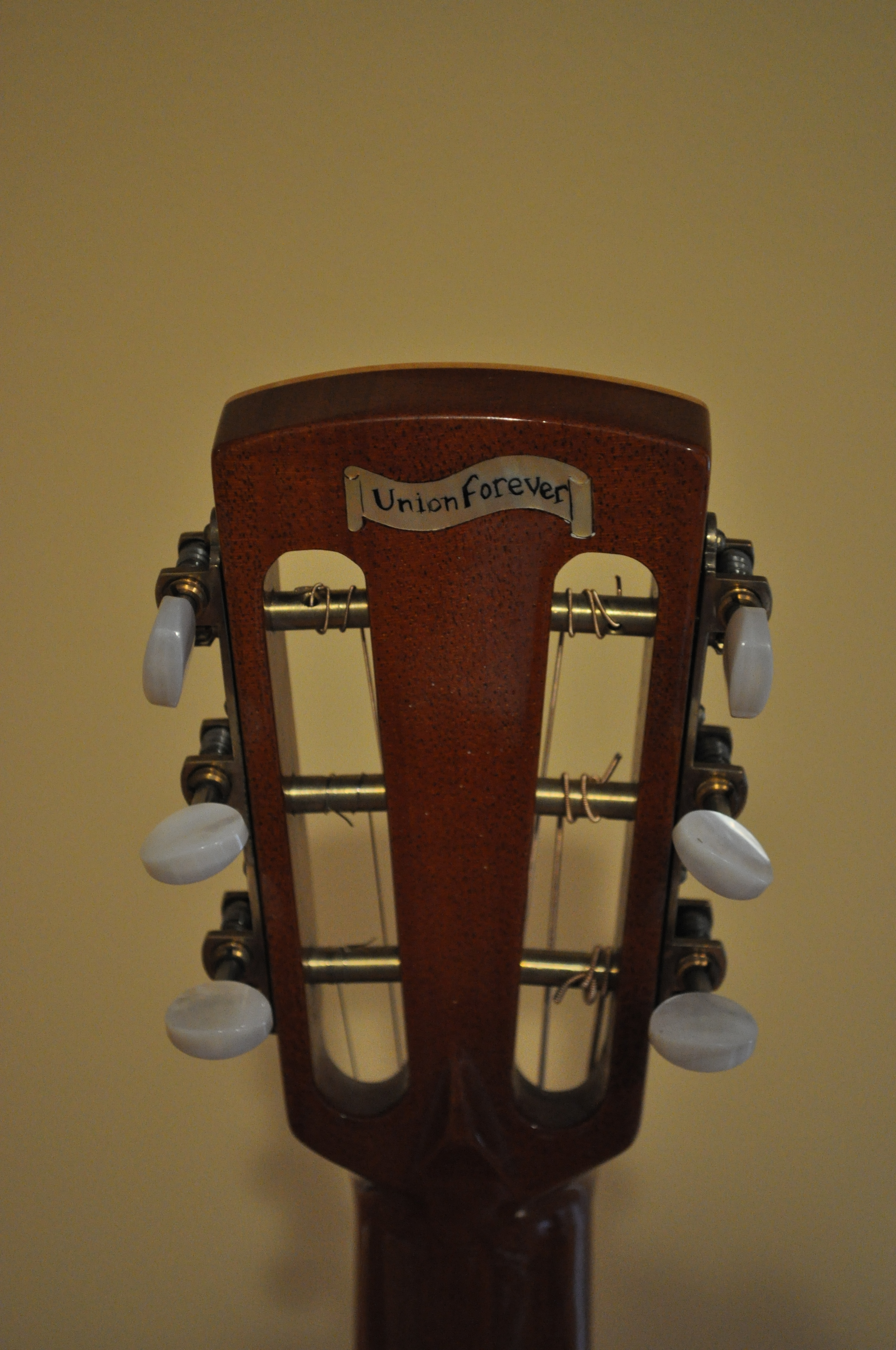 Running Dog Guitar Union Forever