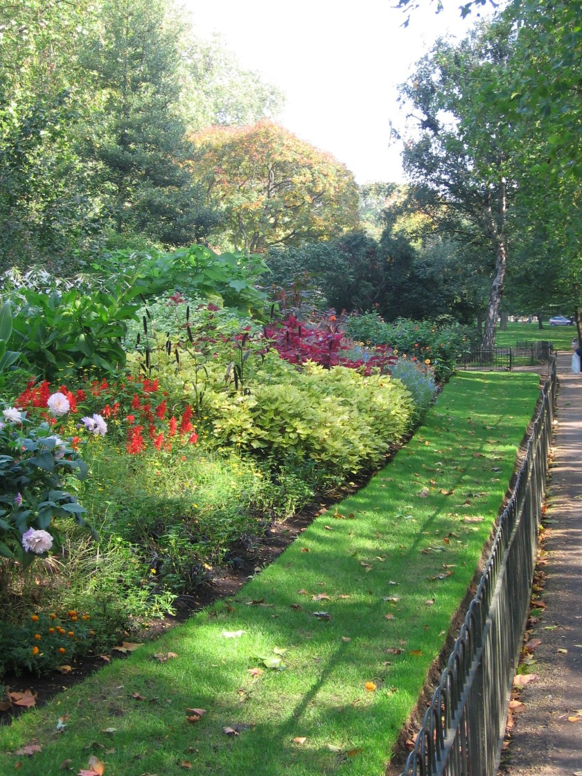 Flowers in St. James's Park