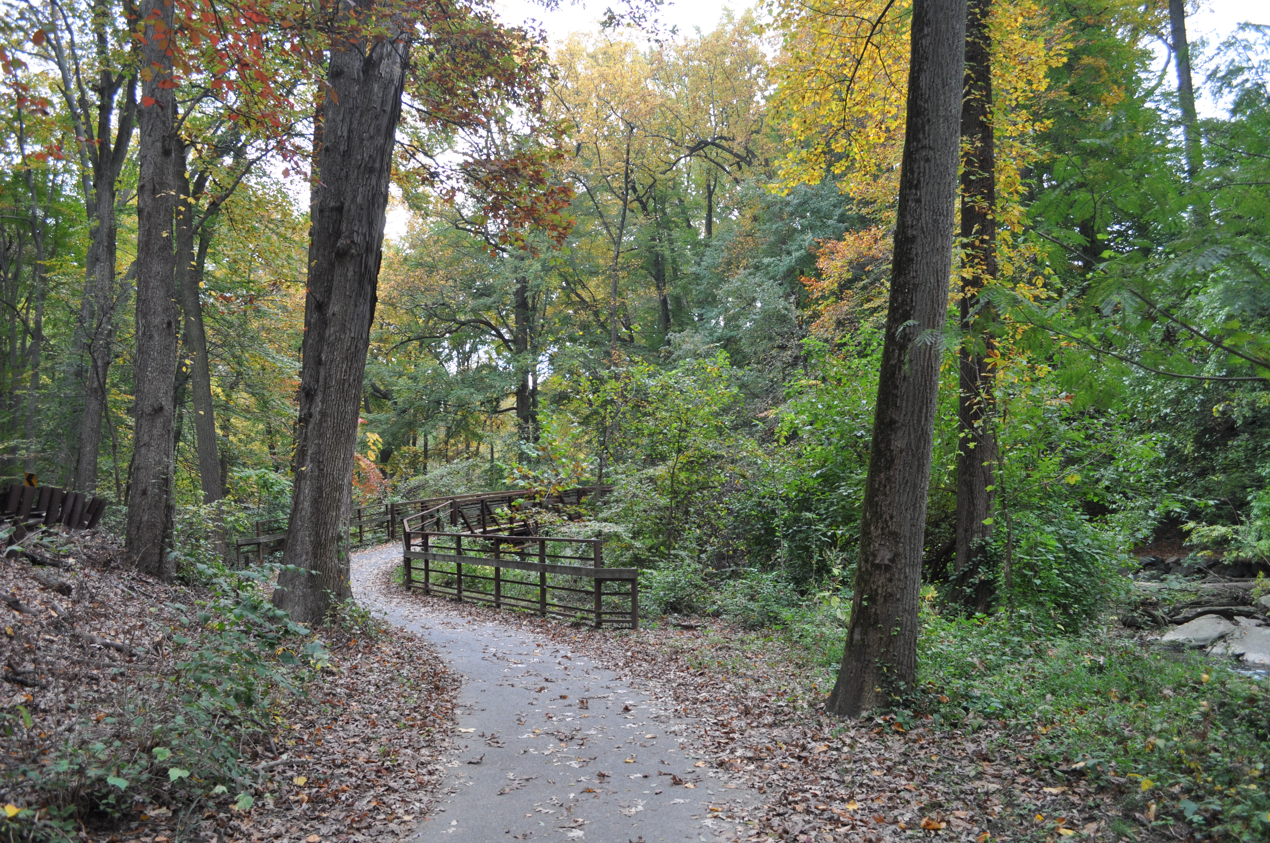 Sligo Creek Walkway October 2011