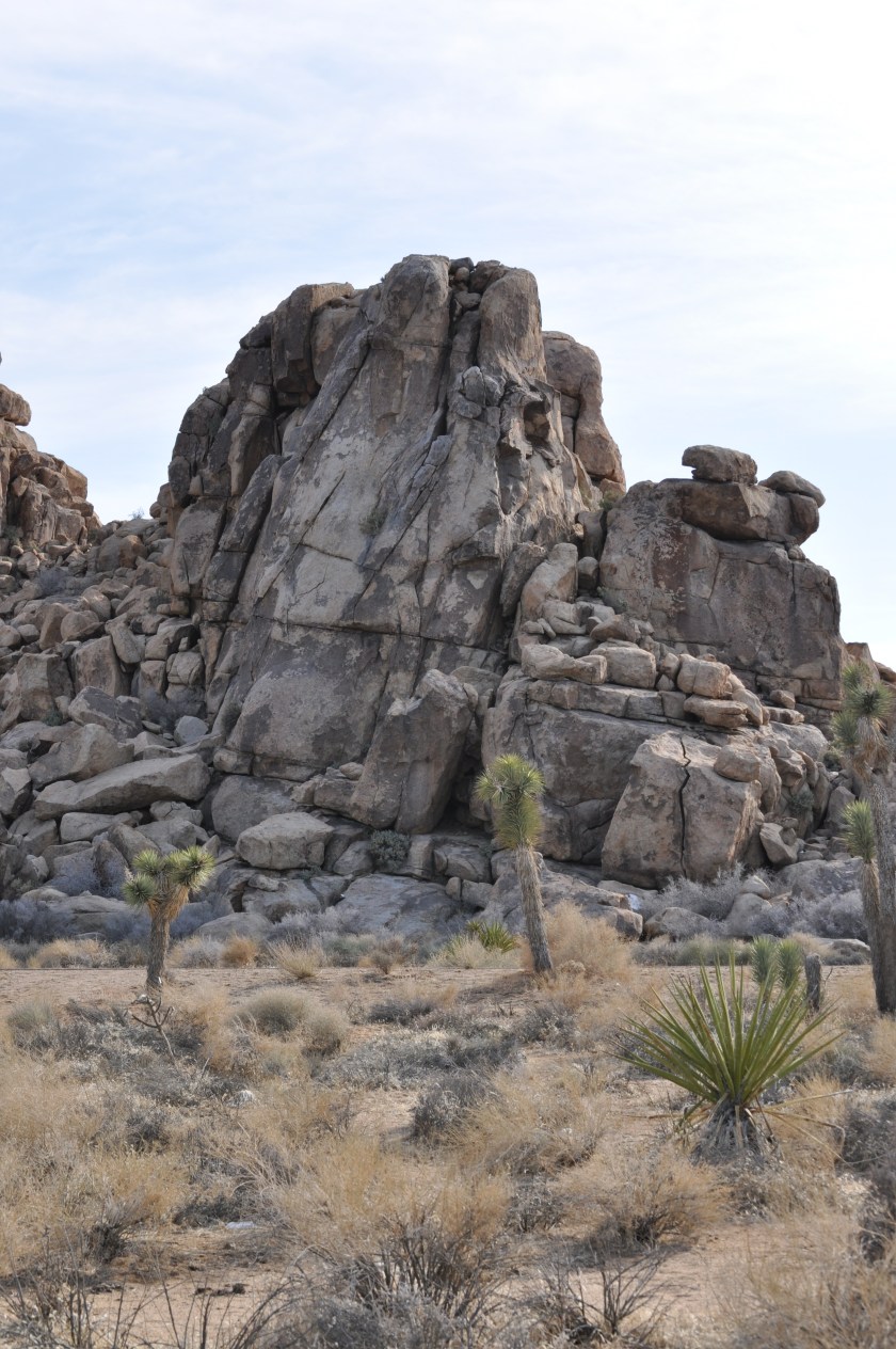 Joshua Tree National Park Rock Pilings