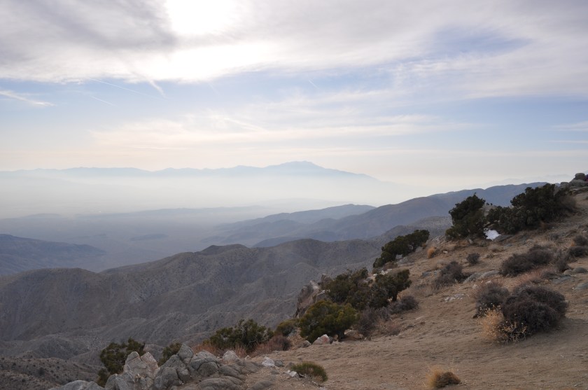 Key's View in the Joshua Tree National Park