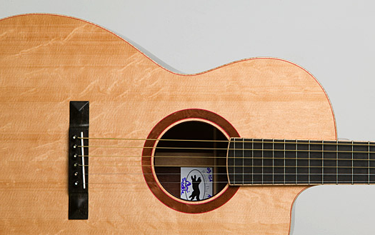 Running Dog Guitar Ought-3