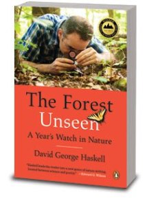 The Forest Unseen