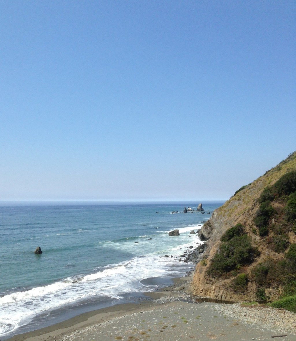 Coast of California north of Mendocino