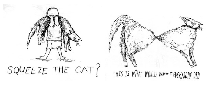 What if Everybody Squeezed the Cat?
