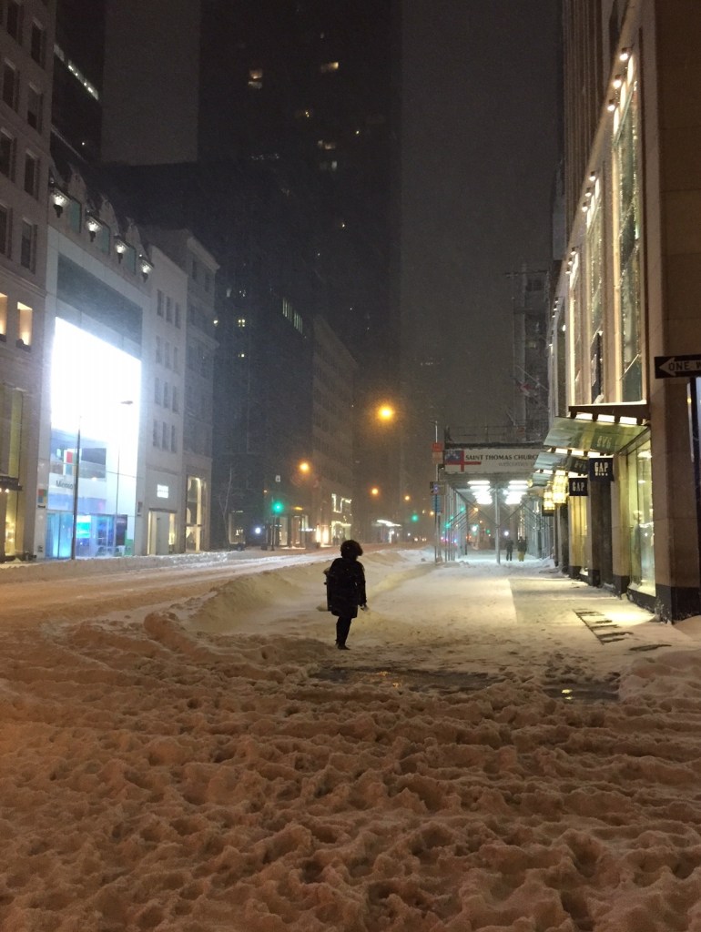 5th Avenue in NYC during the blizzard 01 23 16