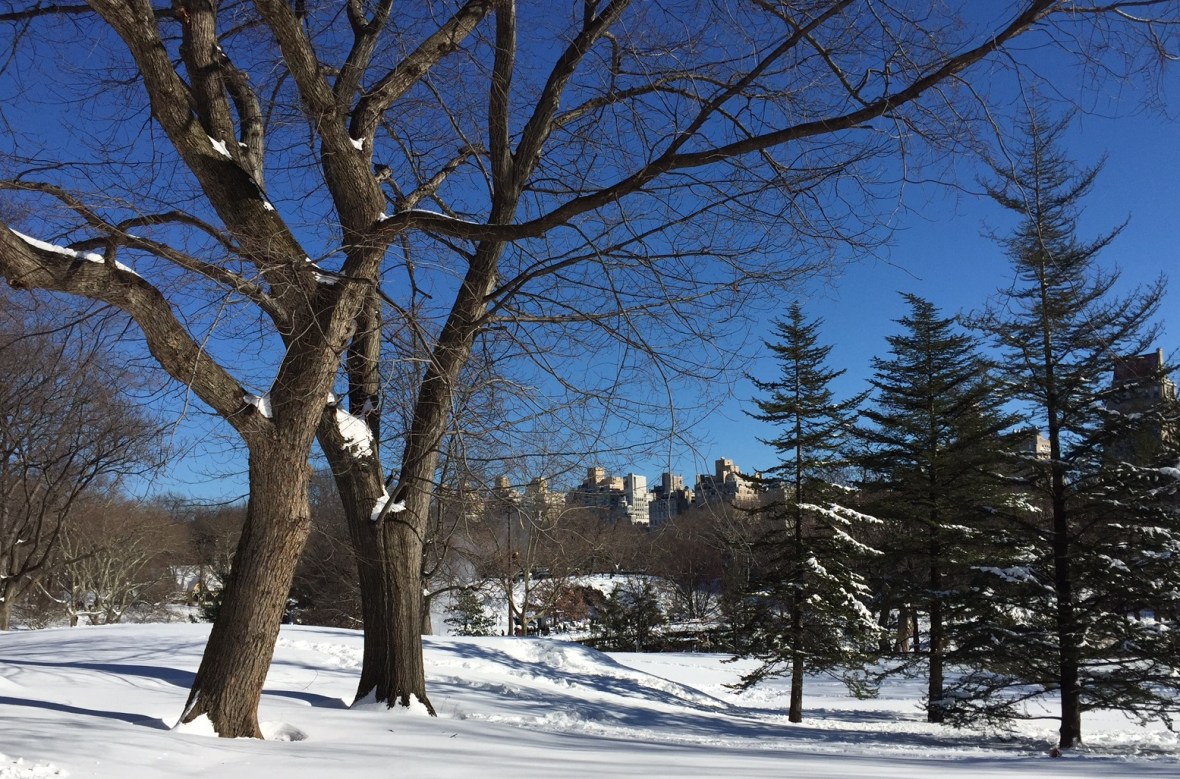 Central Park