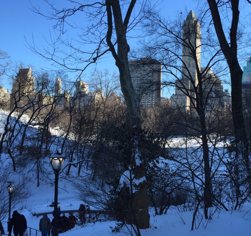 Central Park looking east
