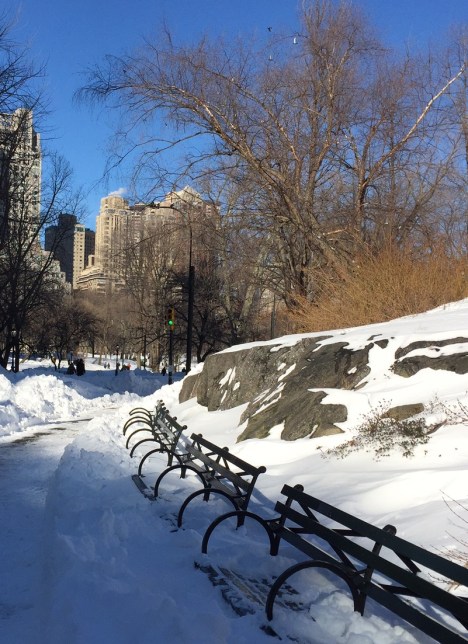 Central Park looking west