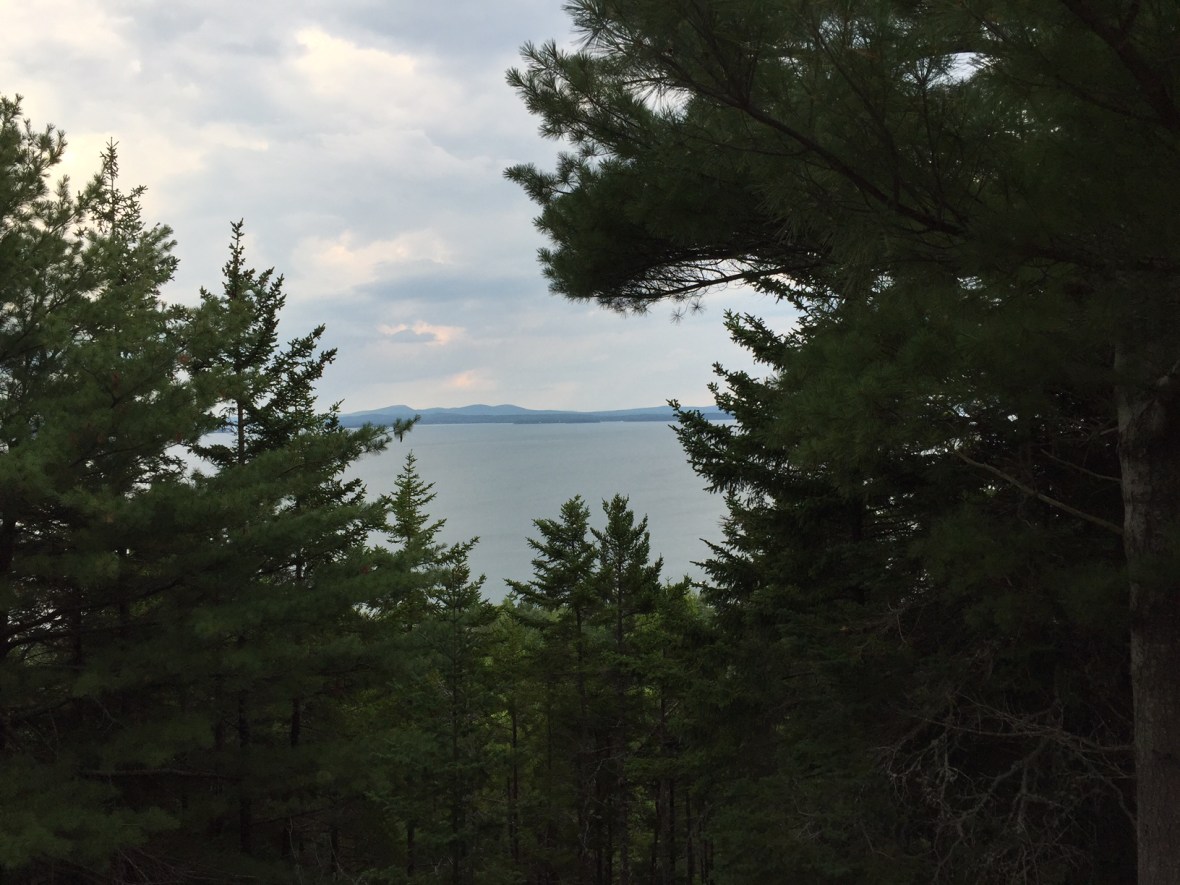 View from a carriage road