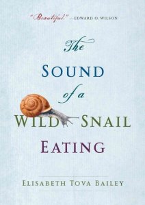 Soiund of a Wild Snail Eating