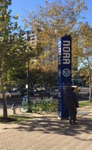 Bikes in Silver Spring