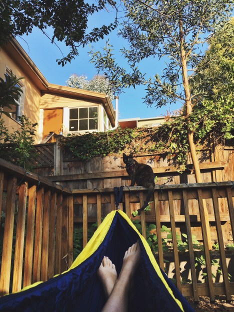 Hammock view