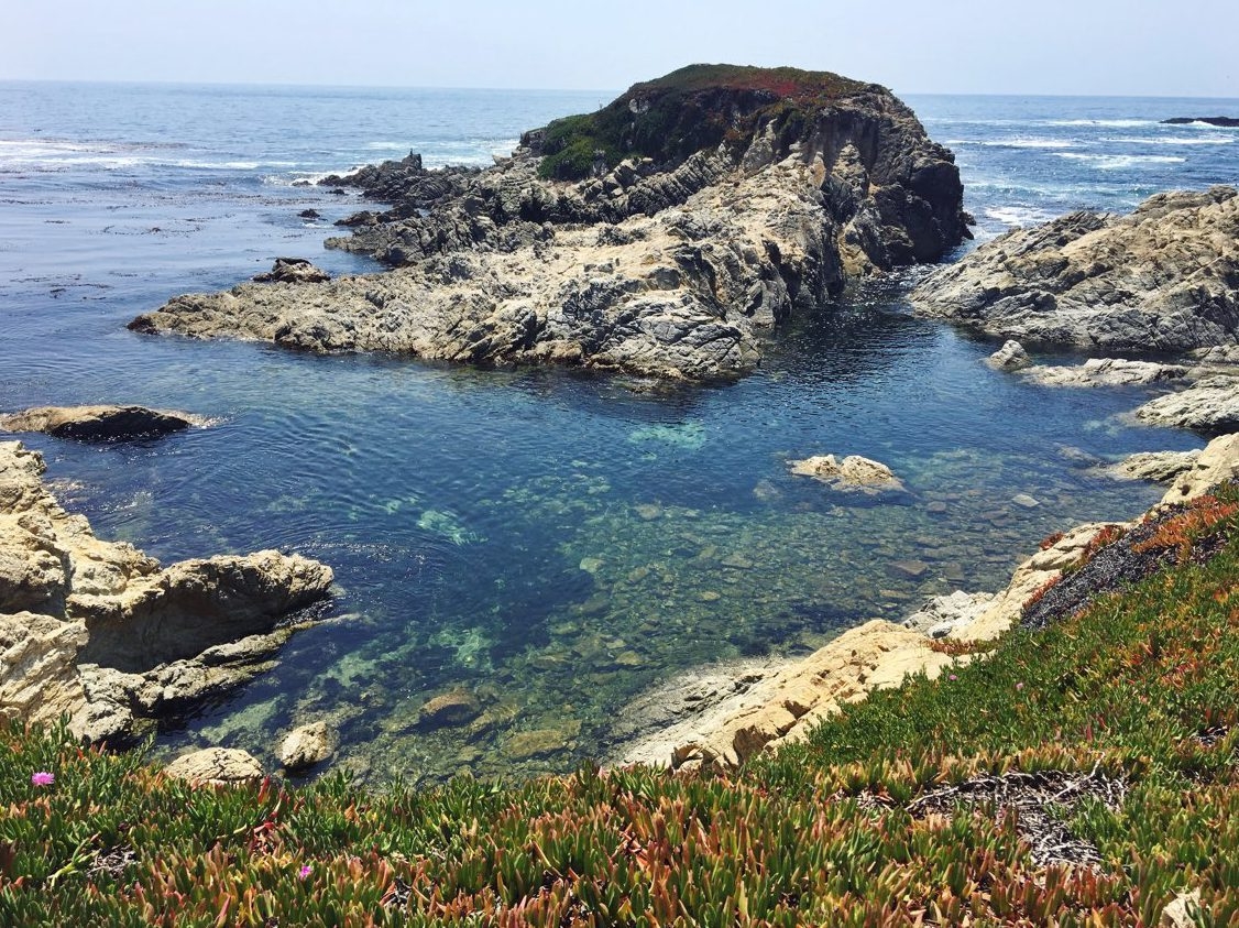 Pacific Grove Coastline