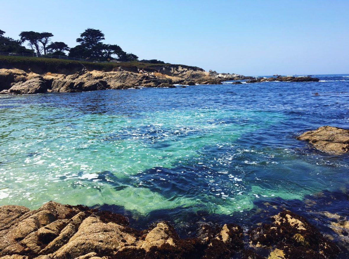 Pacific Grove Coastline