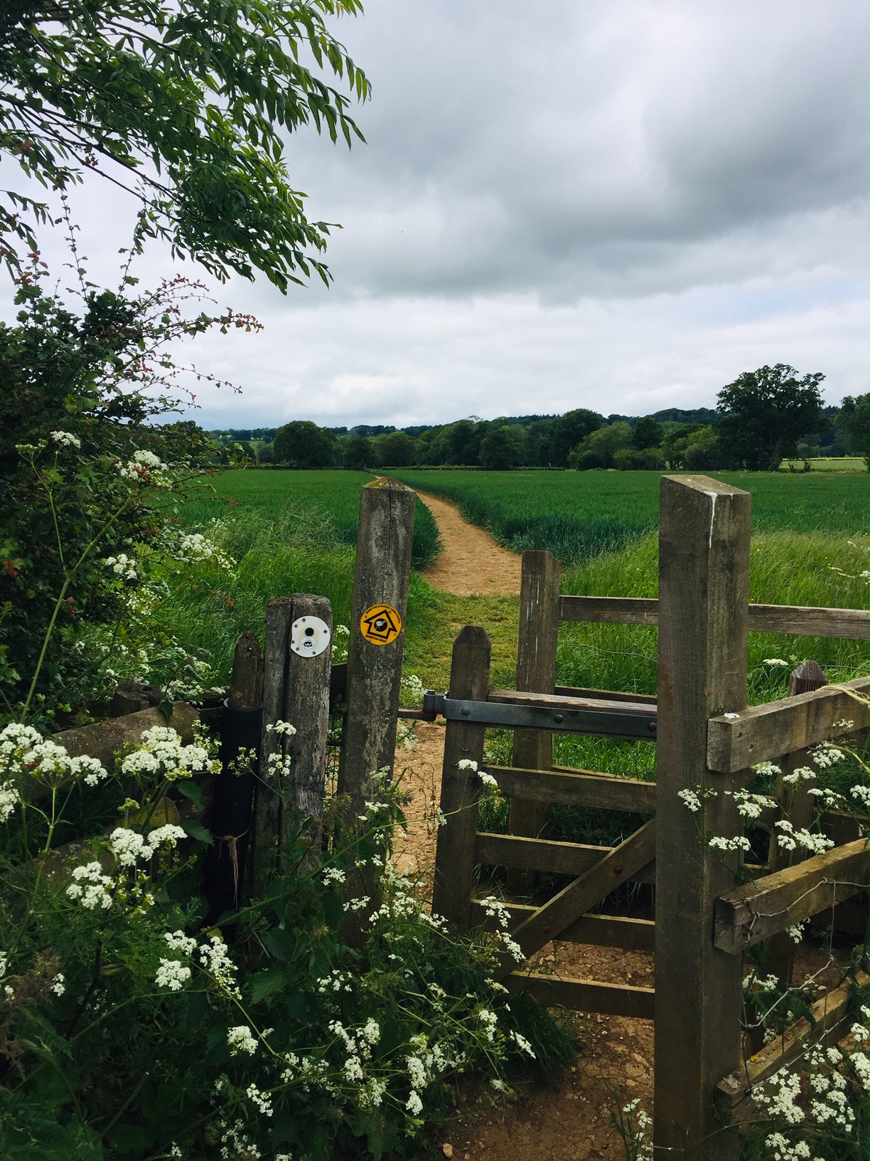Cotswold Public Footpath