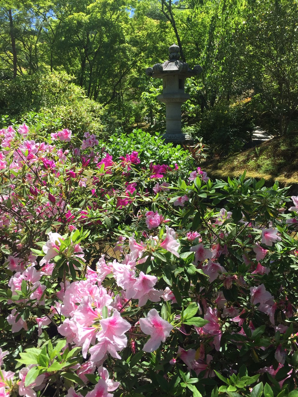 Golden Pavilion garden