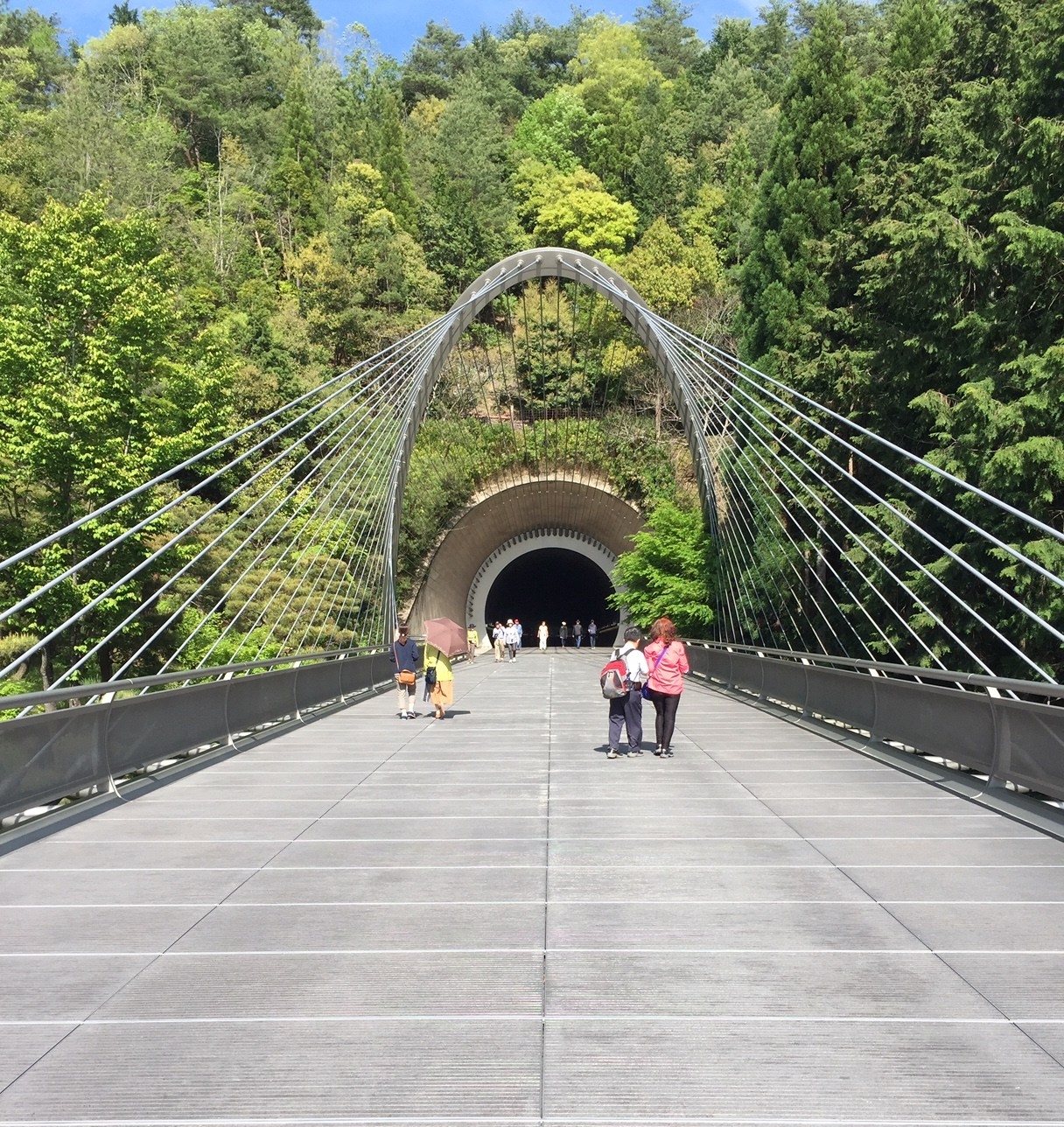 View of the bridge and tunnel