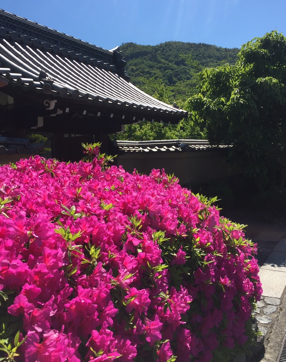 Tenryu-ji Temple in Kyoto