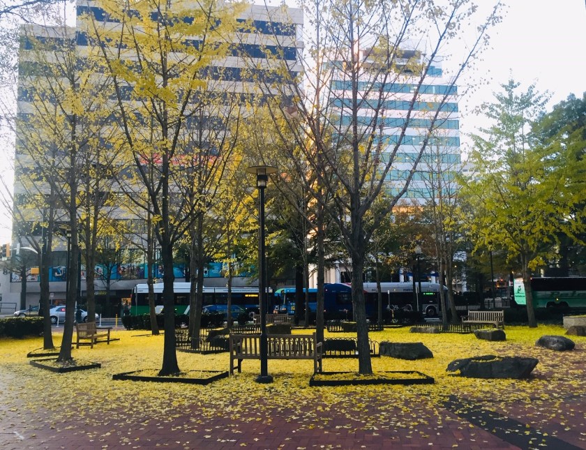 Fall in downtown Silver Spring